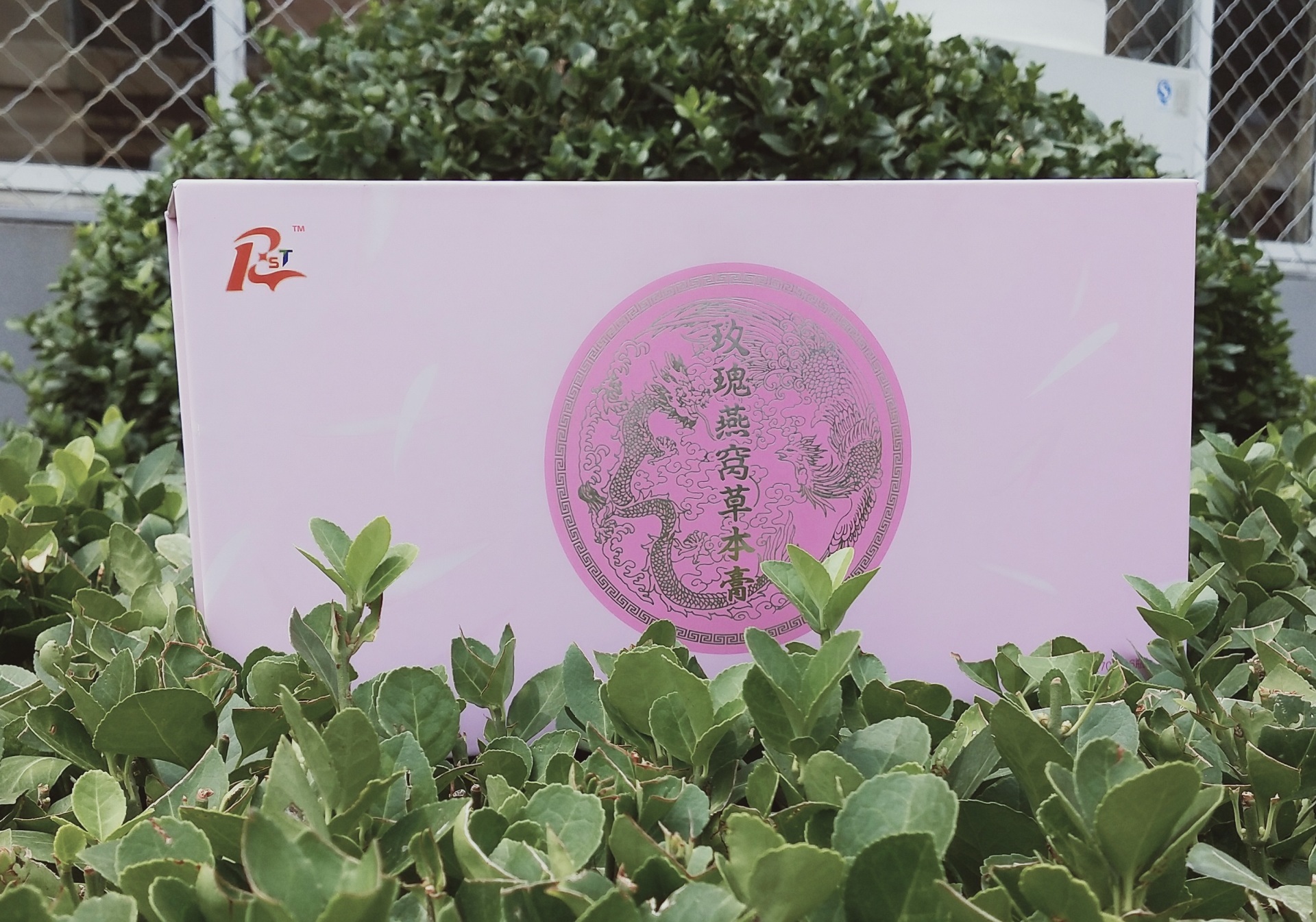 玫瑰燕窩草(cǎo)本膏 70克*6瓶